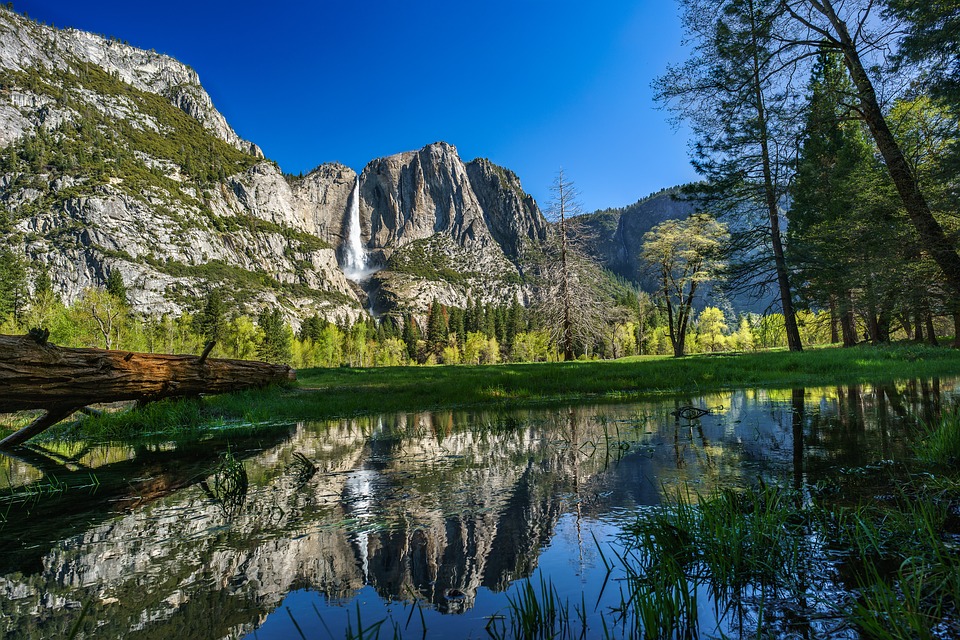 Yosemite park usa